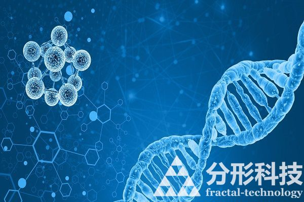 医院官网建设的功能如何提升患者体验