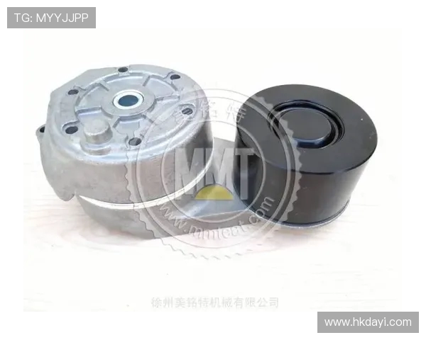 挖掘机风扇皮带张紧轮轴承